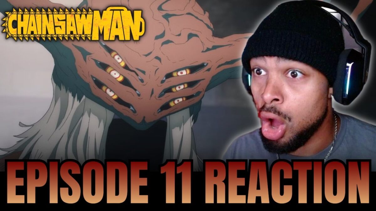 THE NEW SPECIAL DIVISION IS COLD!!! | Chainsaw Man Ep.11 Reaction!
